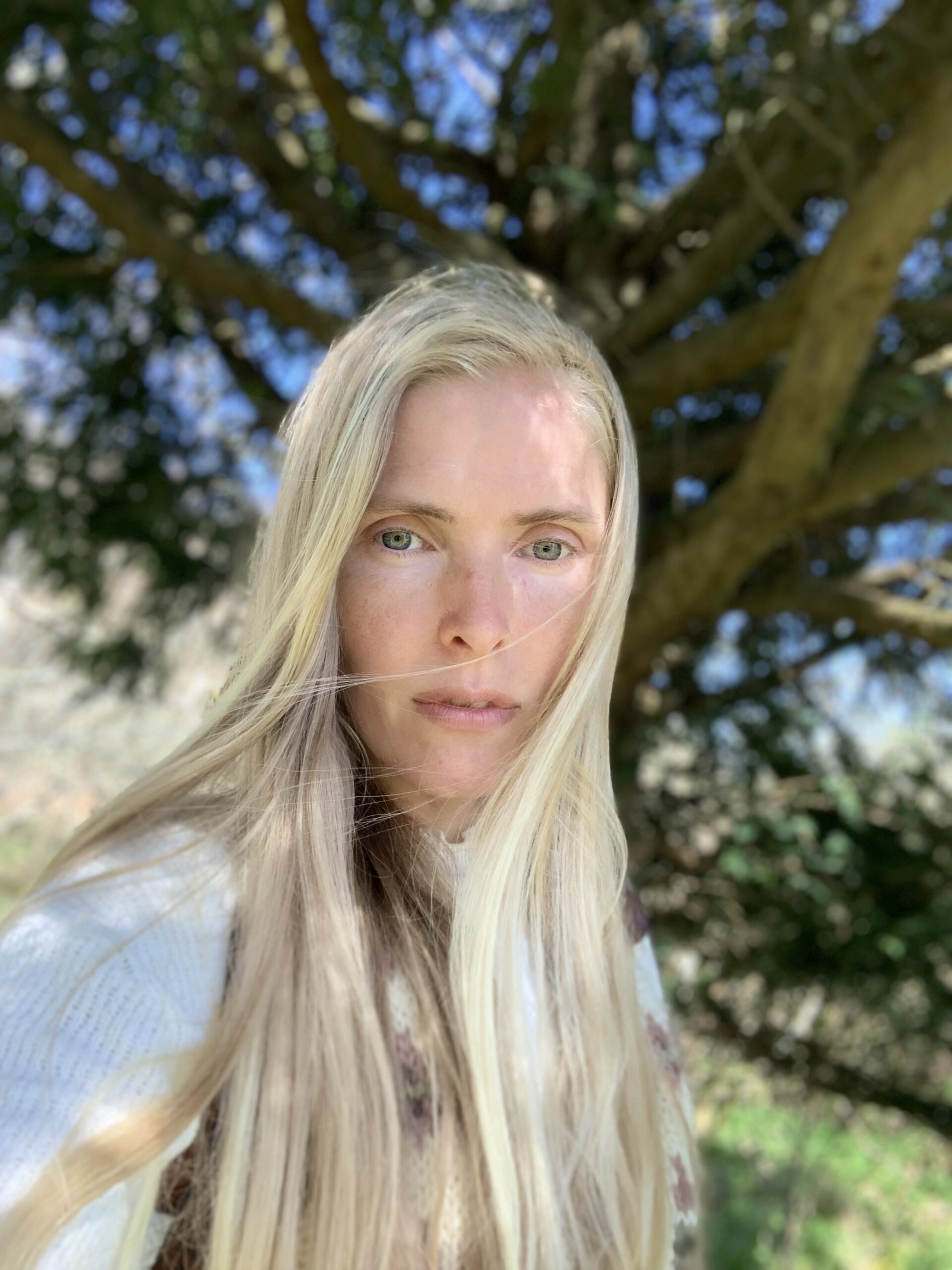 Anneli Elofsson(1)